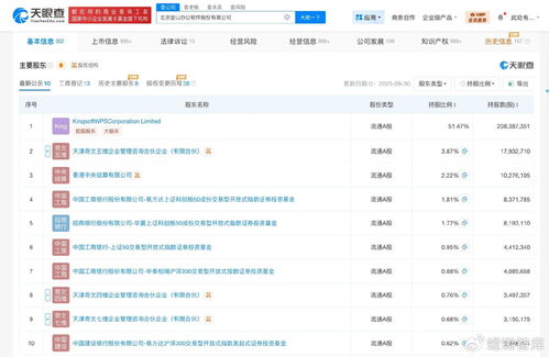 金山办公增资与互联网销售策略 迈向职场数字化新高度